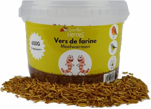 [GRI-103150040] VERS DE FARINE - GARDEN HEROES seau 0,4 kg