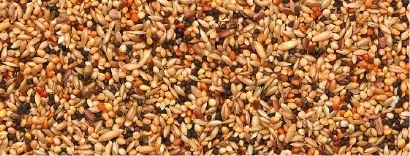4KG MELANGE VOLIERE - ESSENTIALS