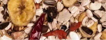 750G PERROQUET MULTI FRUITS - ESSENTIALS