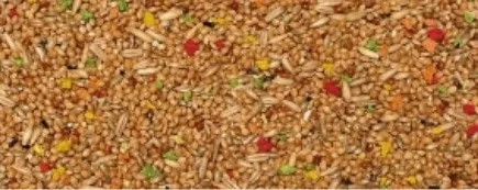 2.5KG PERRUCHES BISCUIT - RAINBOW CRISP