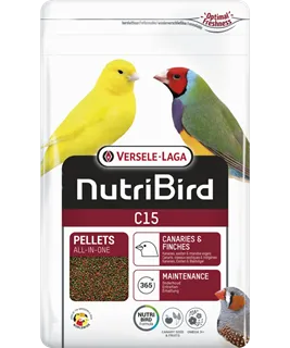 C15 Entretien - Tropical
