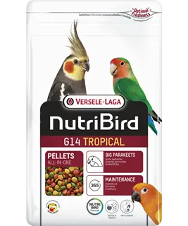 [VER-422116] G14 Entretien - Tropical
