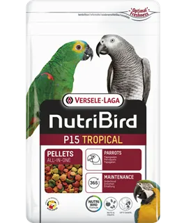 P15 Entretien - Tropical