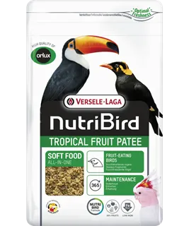Tropical Fruit Patee