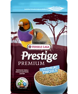 Oiseaux Exotiques