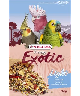 [VER-421783] Exotic Light