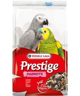 Perroquets