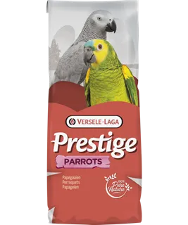 Perroquets Fruit Mega