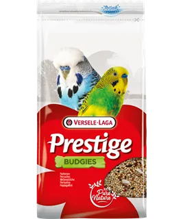 Perruches