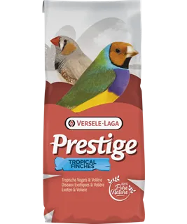 Oiseaux Exotiques