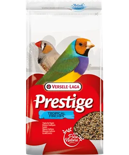 Oiseaux Exotiques