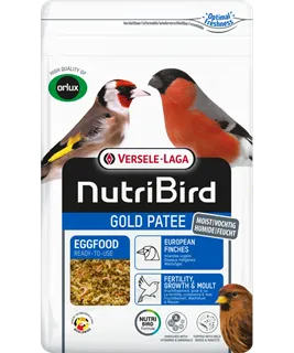 Gold Patee Oiseaux Indigènes
