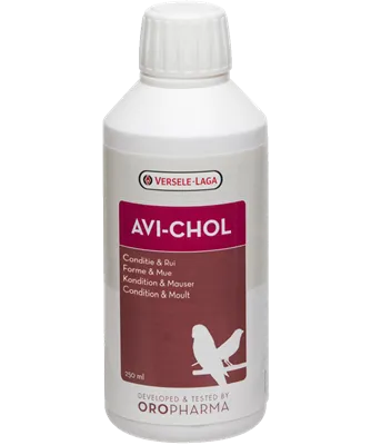 Avi-Chol