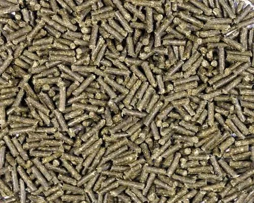Pellets de pissenlit - Sachet 250g