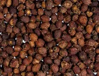 Baies d'aubépine - Sachet 1kg