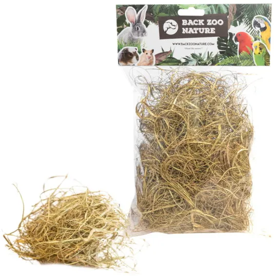 Herbe de Palmier
